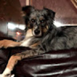 Meet your Posher, Jorge